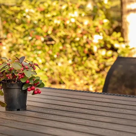 Chalet Waeschhuesli Near Interlaken, Grindelwald And Lauterbrunnen Gsteigwiler