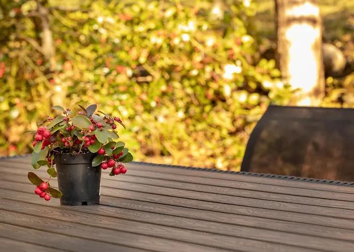 Alpehytte Waeschhuesli Near Interlaken, Grindelwald And Lauterbrunnen Gsteigwiler