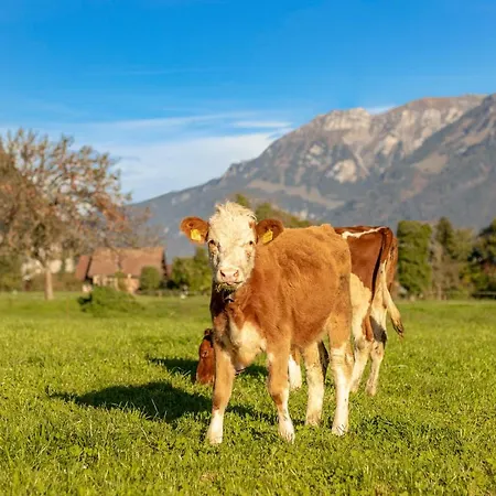 Σαλέ Waeschhuesli Near Interlaken, Grindelwald And Lauterbrunnen Gsteigwiler